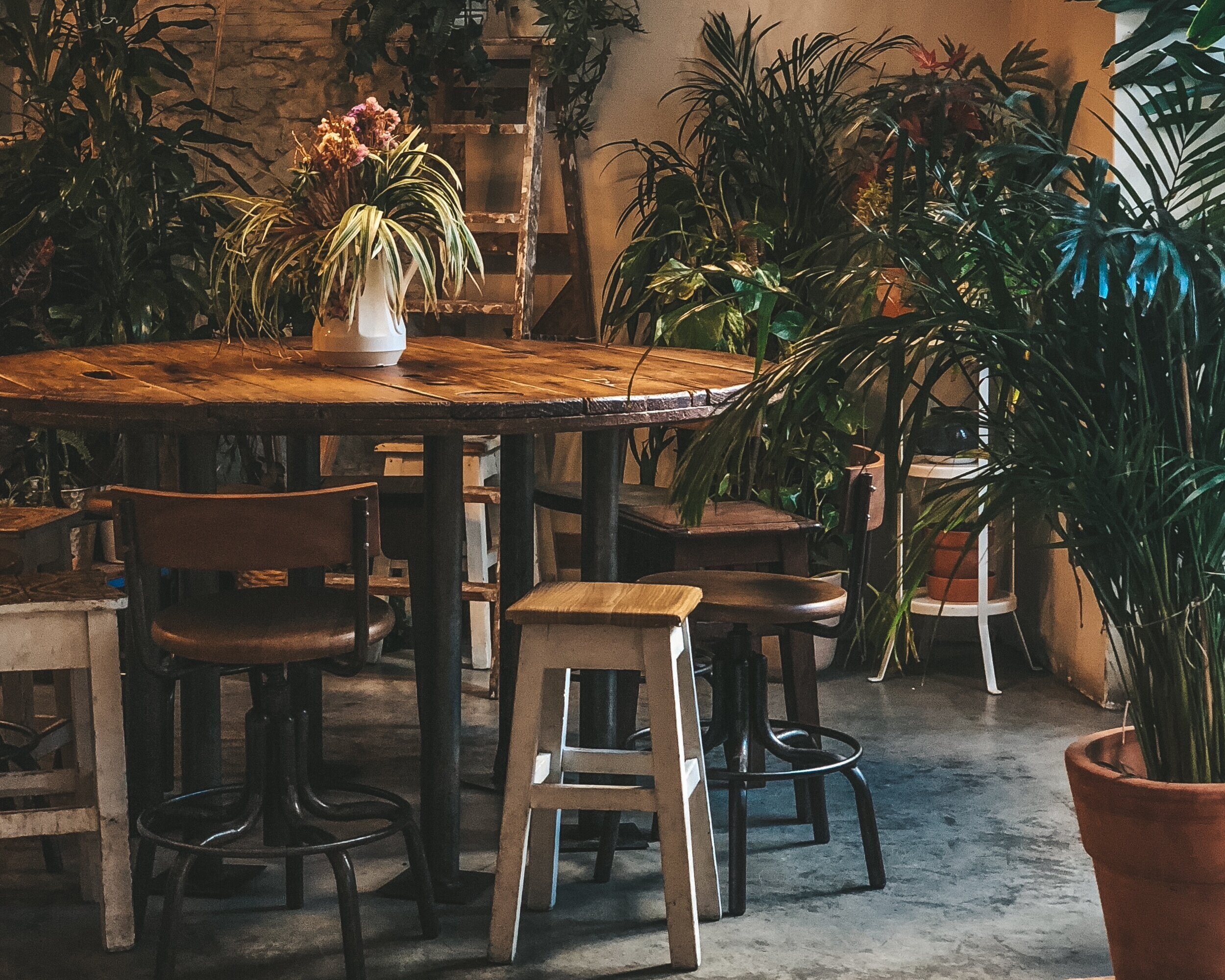 faunafloralisbon-han