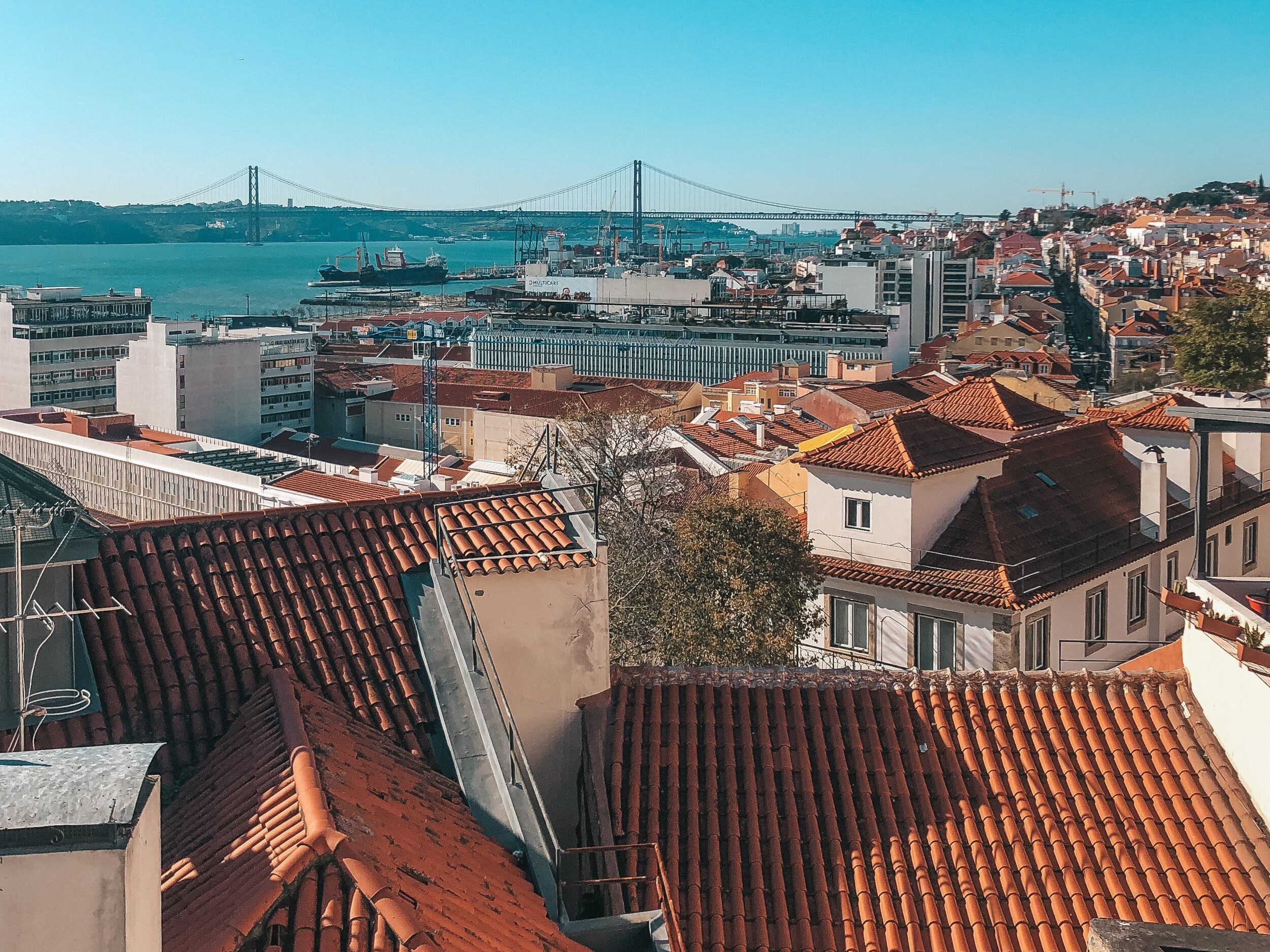 noobai-han-meets-world